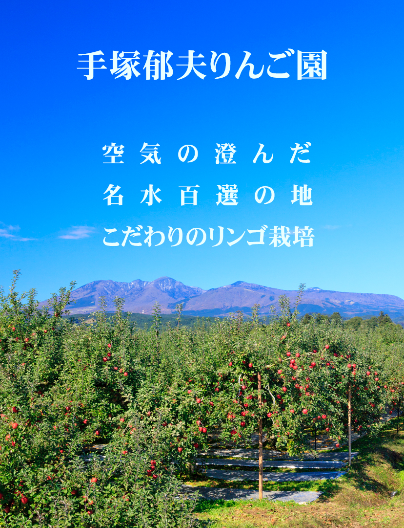 手塚郁夫りんご園／サンふじの畑と高原山